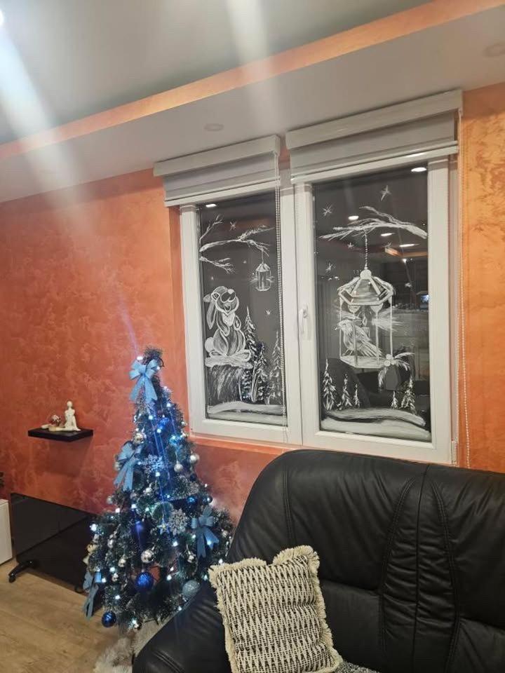 Apartman Zlatar-Vasiljevic Nova Varoš 外观 照片